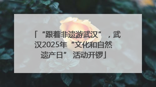 “跟着非遗游武汉”，武汉2025年“文化和自然遗产日” 活动开锣